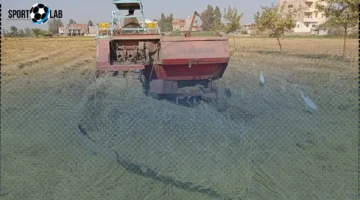 سعر الأرز الشعير في مصر 2-11-2025 يبرز فرق العريض ورفيع الحبة